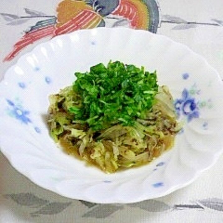 蒸したキャベツと玉葱に 2番煎じの豆苗 レシピ 作り方 By 2727椿 楽天レシピ 蒸したキャベツと玉葱に 2番煎じの豆苗 レシピ 作り方 By 2727椿 楽天レシピ